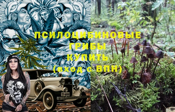 трава Козельск