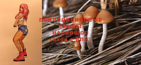 ешки Кинешма
