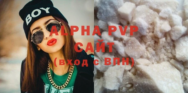 гидра Кодинск